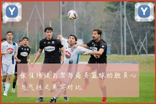 张佳玮谈打架与商务篮球的胜负心与气性之真实对比