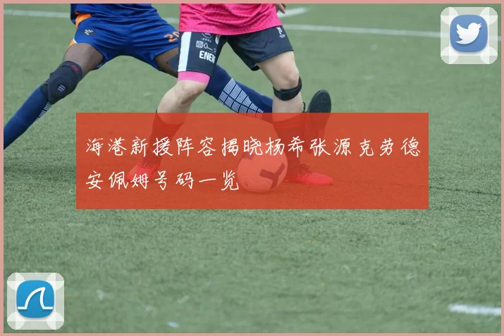 海港新援阵容揭晓杨希张源克劳德安佩姆号码一览